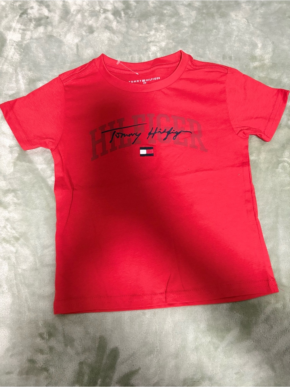 Tommy Hilfiger Red Graphic Short Sleeve Tee for Kids